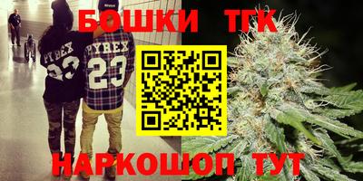 гашик Гусев