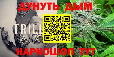 гашик Гусев