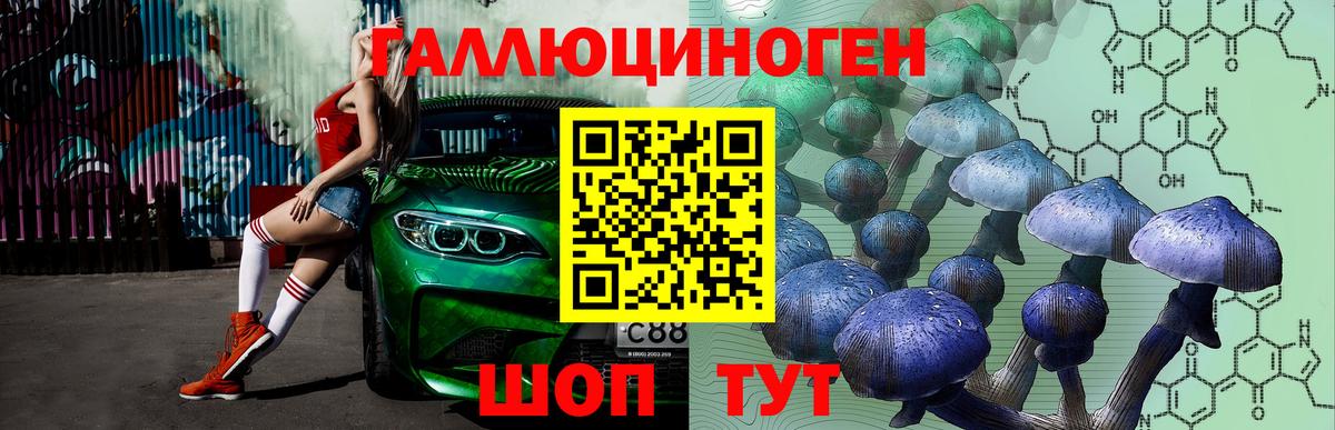 Псилоцибиновые грибы Cubensis  Вход с VPN  Унеча 