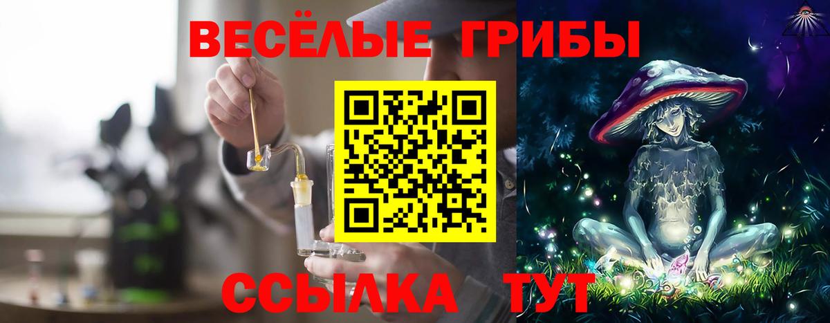 Псилоцибиновые грибы мицелий Унеча